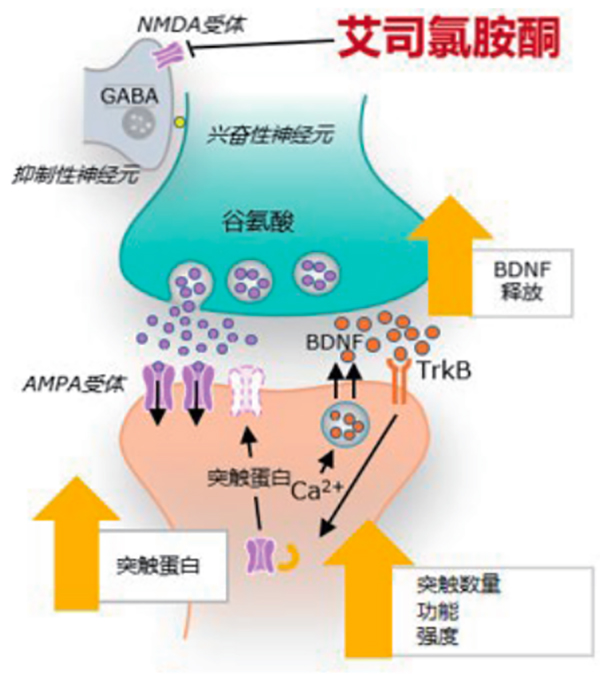 微信图片_20250313075706.jpg
